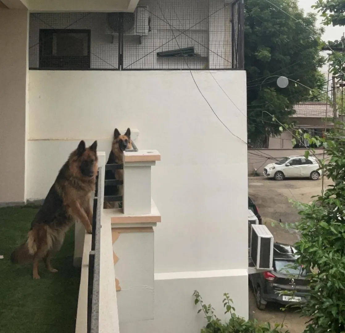 Basant Vihar Homestay Udaipur 0*,  Inde