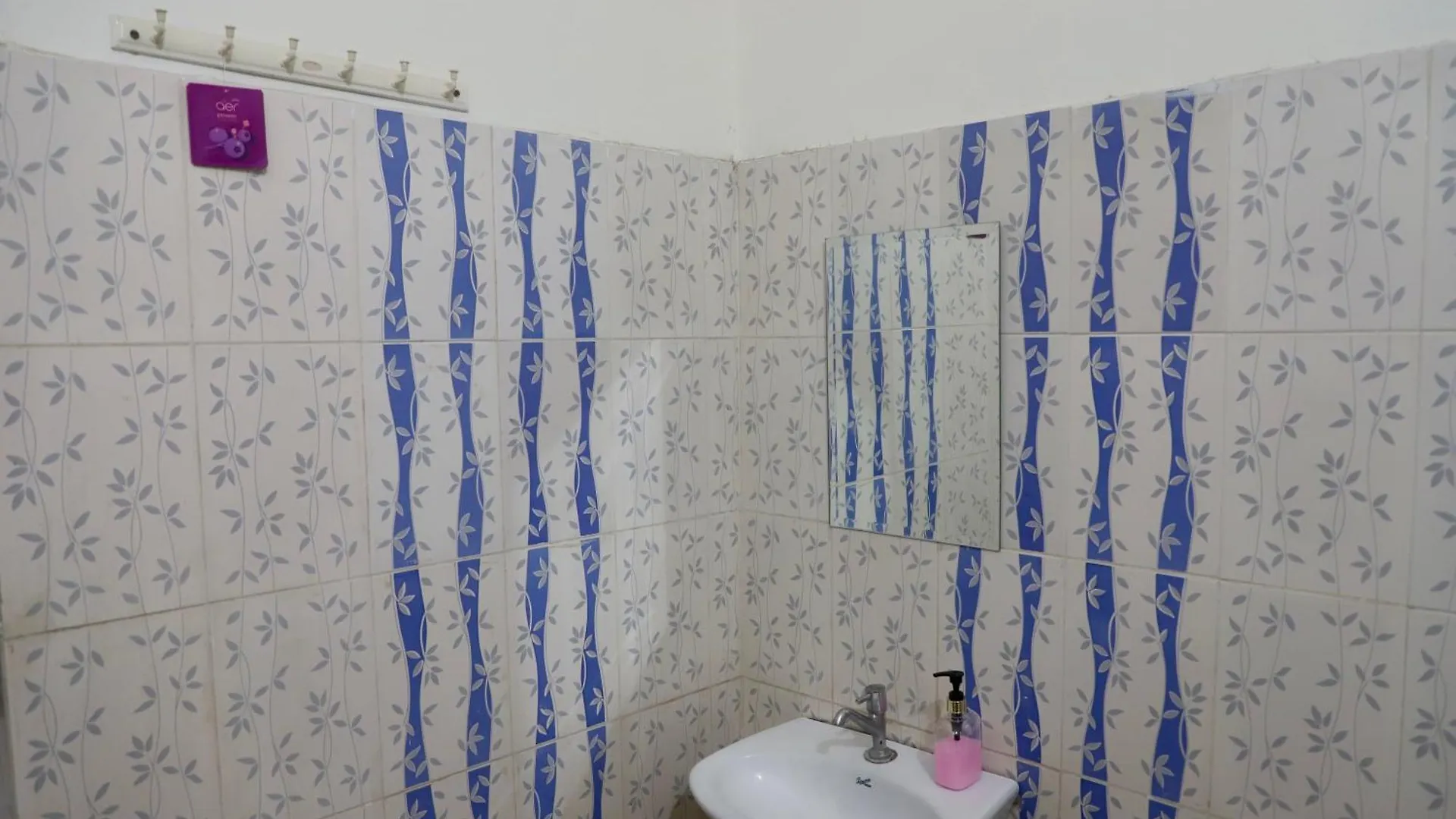 Basant Vihar Homestay Udaipur 0*,